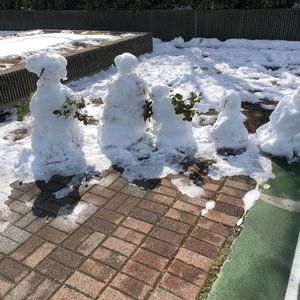 Meet your Posher, Rafael